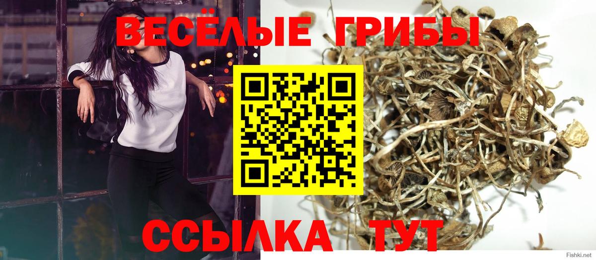 Галлюциногенные грибы MAGIC MUSHROOMS  Галлюциногенные грибы MAGIC MUSHROOMS  Вход с VPN  Ишимбай 