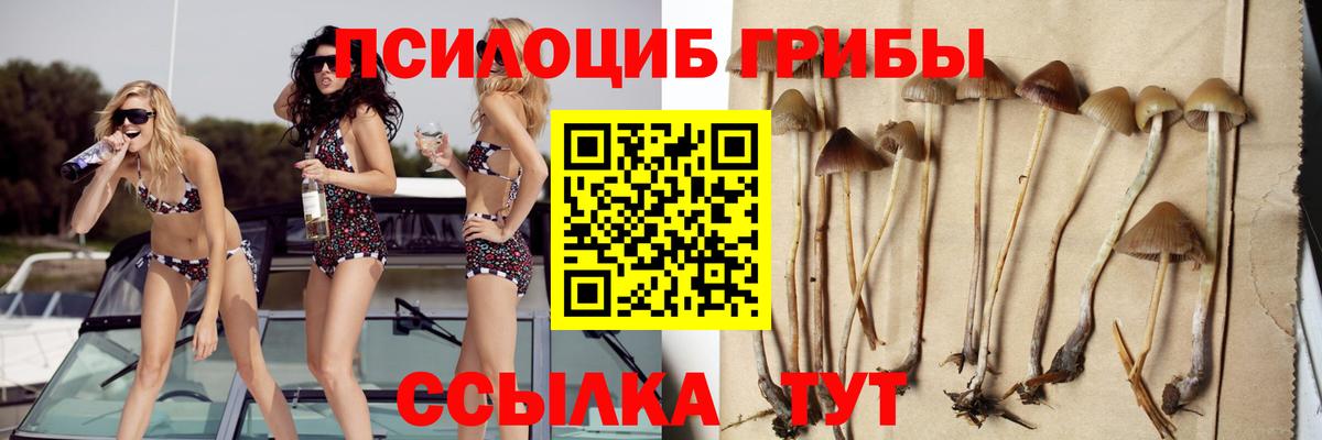 Галлюциногенные грибы Psilocybine cubensis Ишимбай